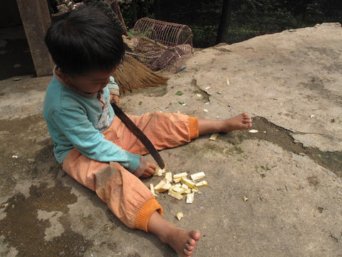 Child playing with machete