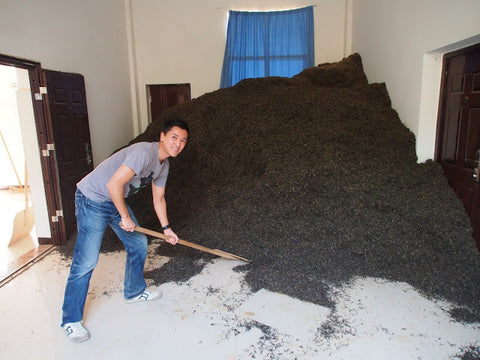 A mountain of puer tea (not ours!)