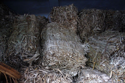 Bales of mulberry bark waiting to be pulped