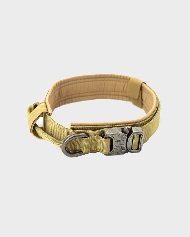 Army Fabric & Brown Dog Collar – Prince & Princess Petwear