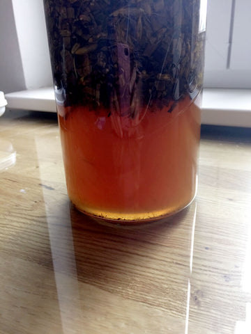 Oxymelansatz mit Kräutern im Glas