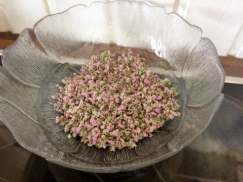Rosa Schafgarbenblüten in einer Glasschüssel