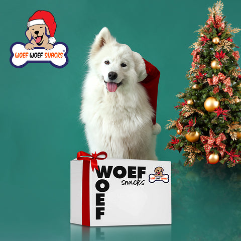 Kerst cadeau voor de hond. De hond staat naast een kerstboom en heeft een snackbox van Woef Woef Snacks.