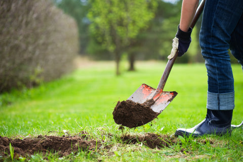 digging hole in the ground