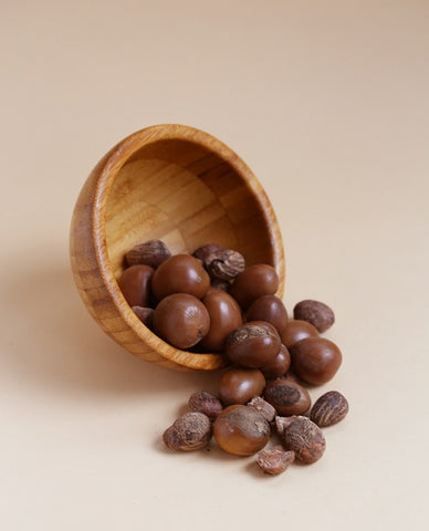 Bowl of Shea Butter nuts