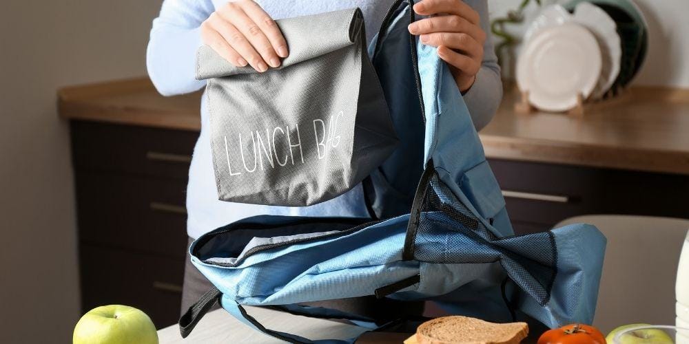 sac repas isotherme pour manger froid ou chaud au travail