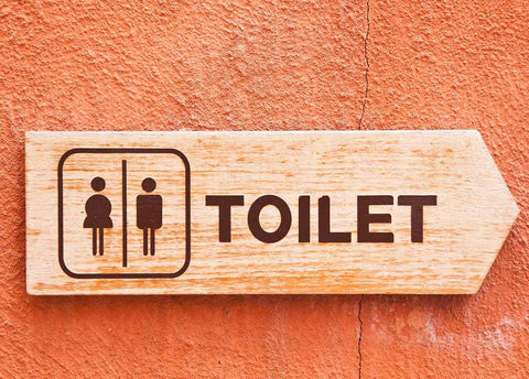 World Toilet Day