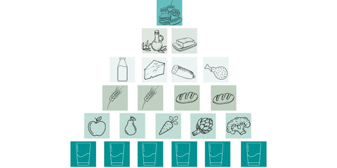 Deutschen Gesellschaft für Ernährung