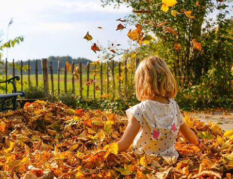 Autumn activities at the campsite