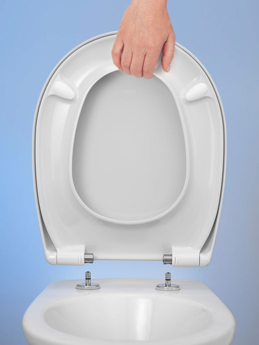 toilet seat