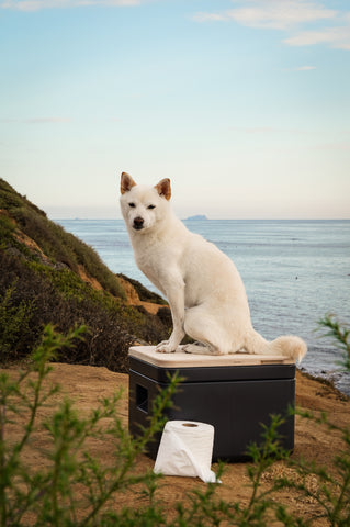 Baño seco o baño seco con separador – Trelino® Composting Toilets