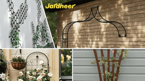 Inspiring Trellis Designs