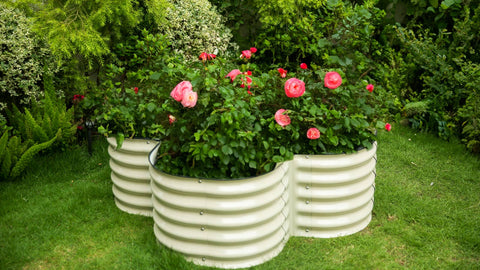 Clover-Shaped Galvanized Metal Garden Bed