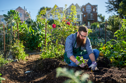 millennial gardening