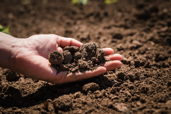 Soil, cultivated dirt, earth, ground, brown land background