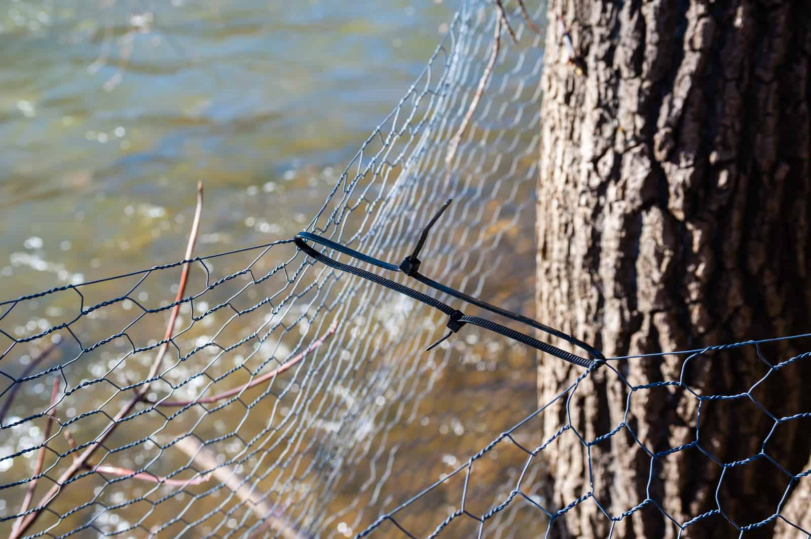 A zip tie locked in both bird nets to secure sagging