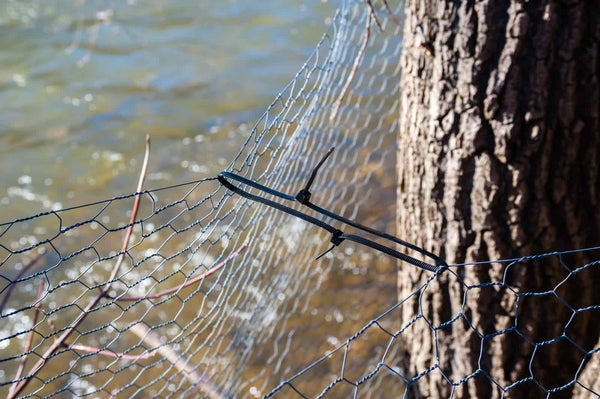 A plastic tie holding wire fencing together by tree