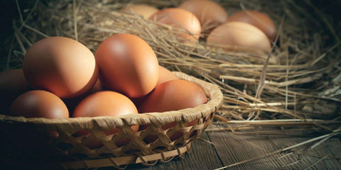 Fresh brown eggs in a wooden basket and in the nest