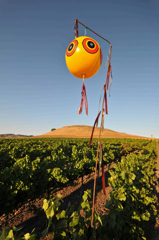 Prominent yellow scare-eye balloon suspended in the center of a farm field