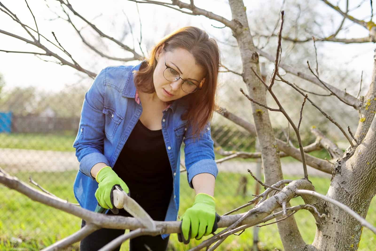 A Woman gardener in gloves with garden saw cutting branches