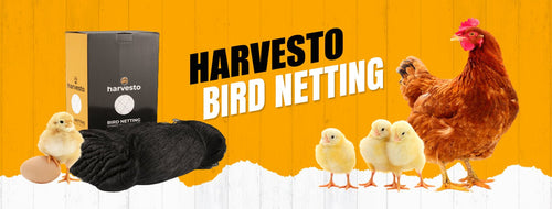 Harvesto Bird Netting for Chicken Coops & Chicken Runs
