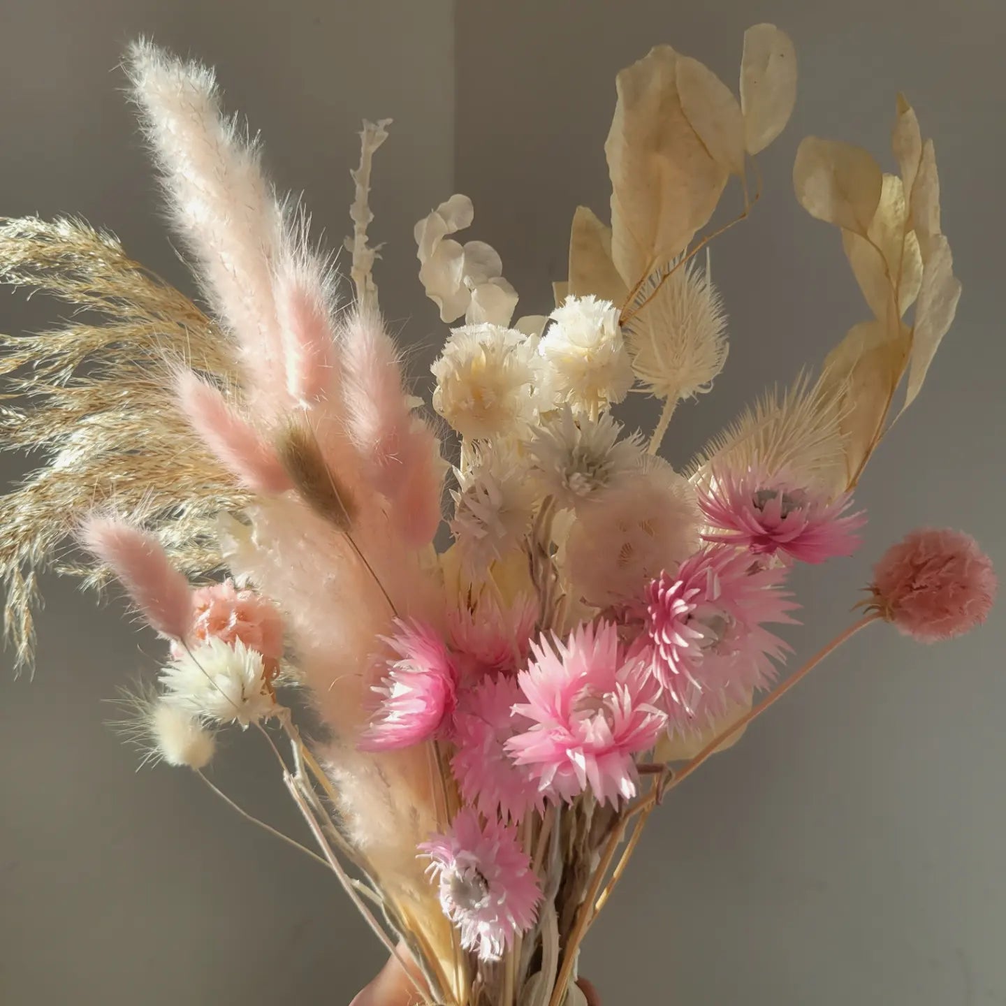 Pampas Grass – Fable Flowers