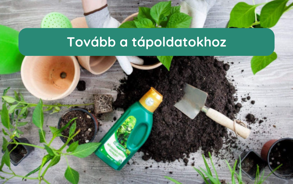 Guardan tápoldat: Tovább a tápoldatokra