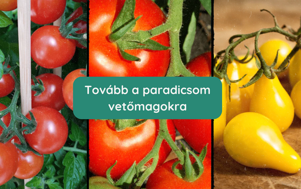 Többféle Paradicsom Vetőmag