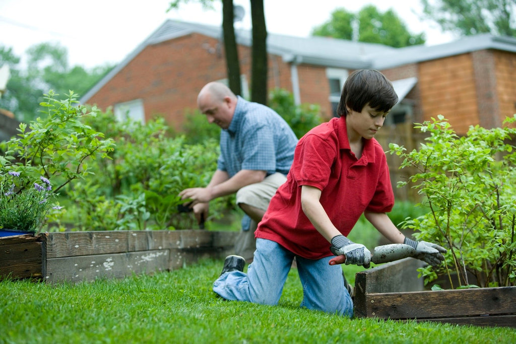 Apa és fia együtt kertészkedik, a magaságyás készítése házilag remek családi elfoglaltság is lehet