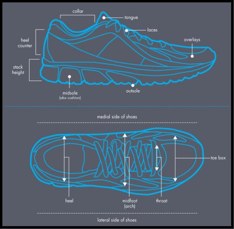 Beginner's Guide to Understanding a Running Shoe – RUNNERS SPORTS