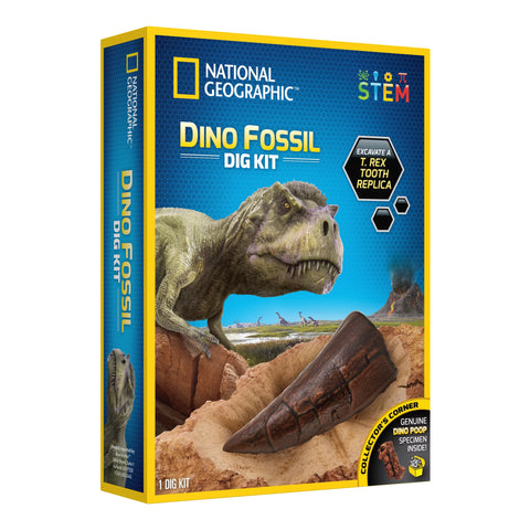 Dinosaur Gifts for Kids Dig Kit