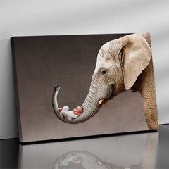 Newborn Family Photo Ideas Elephant Trunk