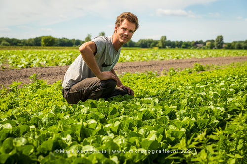 Ivar van Dorst, the owner of Ekoto