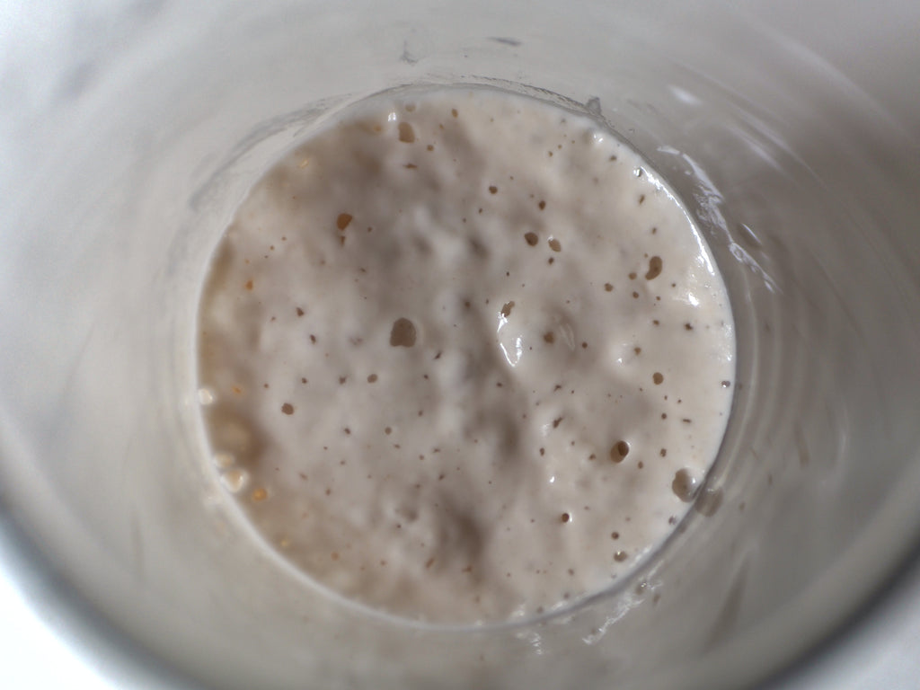 Active sourdough starter