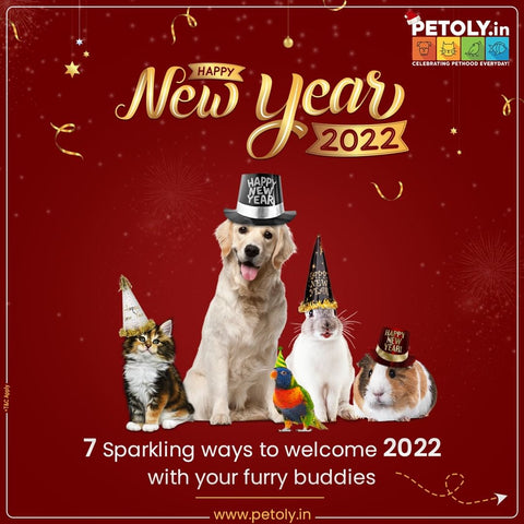 7 Amazing Pet-Friendly Ways to Ring in the New Year with Your Pet Babies