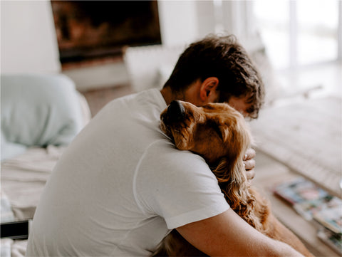 What do pets go through when their pet parents pass away