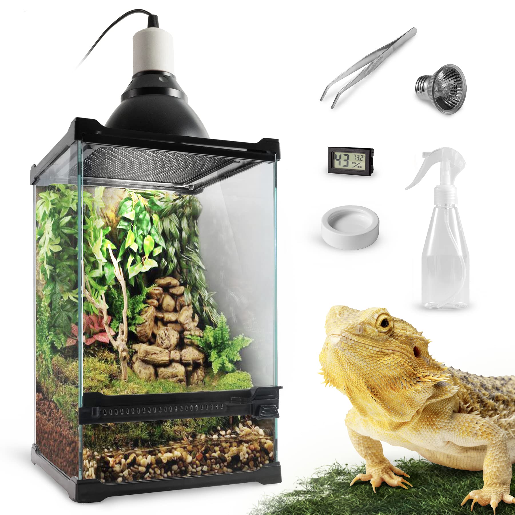 Reptile Terrarium Thermometer Hygrometer Dual Gauges Pet Rearing Box - Live  Hermit Crab