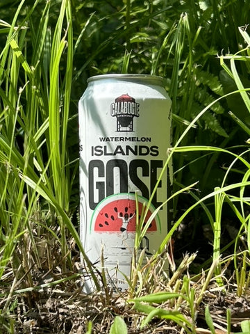 Watermelon Islands Gose