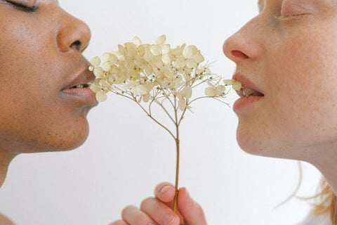 Duas mulheres de frente uma para outra, com olhos fechados, com as bocas tocando uma flor.