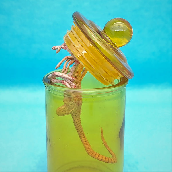 1/6 Alien Facehugger (with Bottle Experiment)