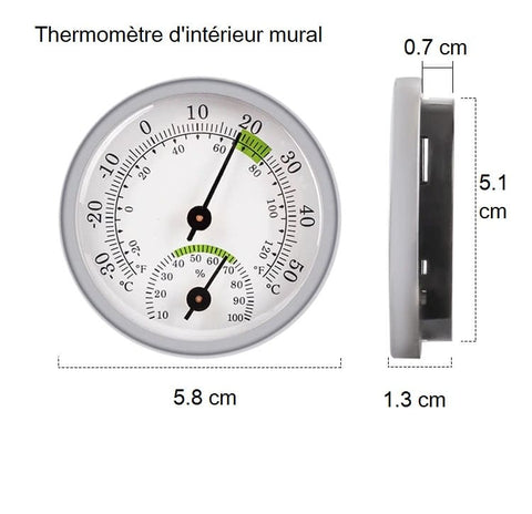 Thermomètre Intérieur Mural Argenté