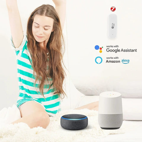 thermomètre-connecté-home-assistant-img