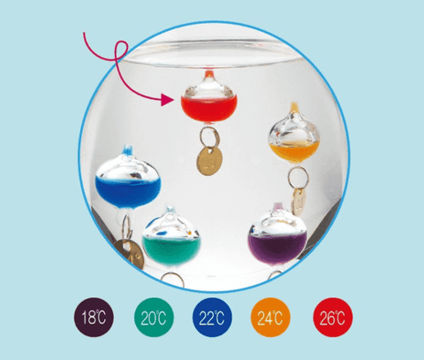 Thermomètre de Galilée Multicolore Design et Décoratif sur Rapid