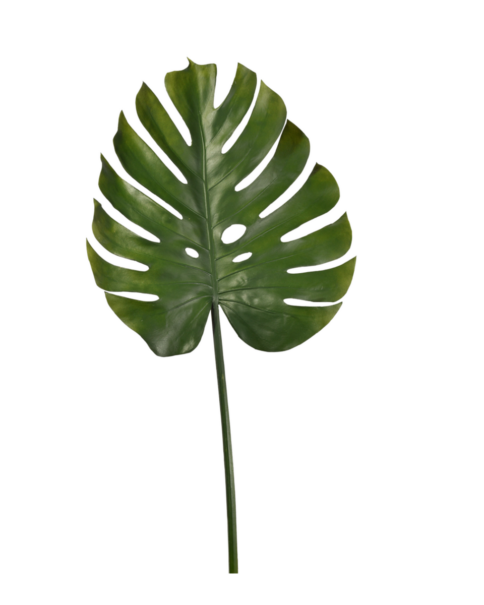 Faux XL Monstera Leaf – Thacher & Spring