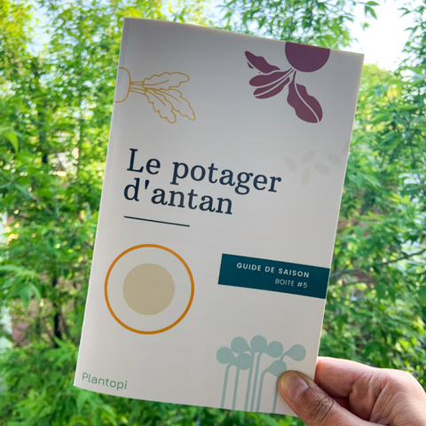 Livret le potager d'antan