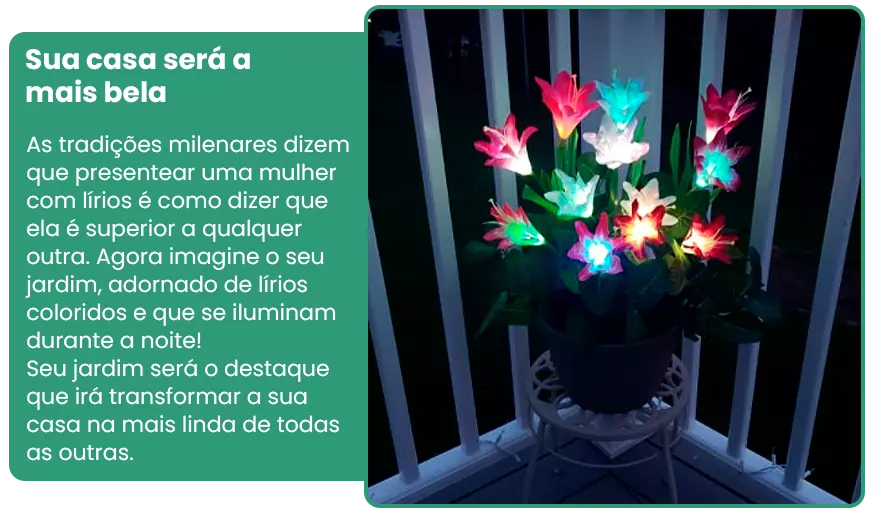 Lumière iluminação decorativa