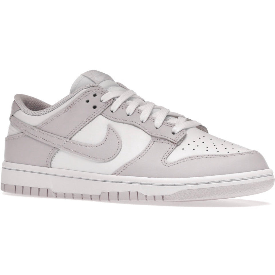 Nike Dunk Low Venice – Ice Kickz