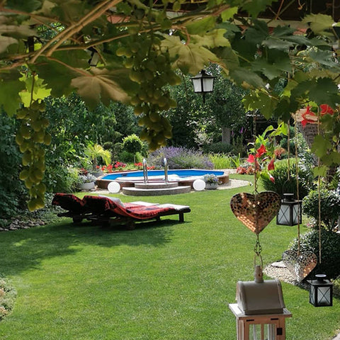 garden and pool with an ice bucket with lid