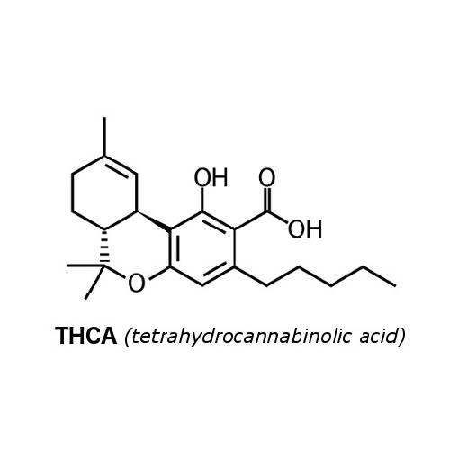 THCA