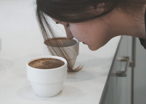 Coffee Aroma Evaluation